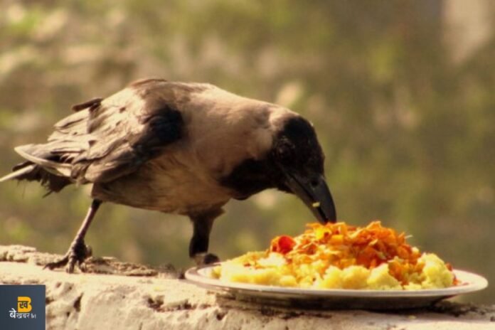 Shradh 2023 Start Date: कब से हैं श्राद्ध ? श्राद्ध के दौरान क्या नहीं खरीद सकते है ?