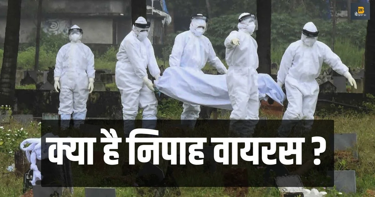 Nipah Virus: क्या है निपाह वायरस जिससे केरल में हो रही हैं मौतें, कैसे घुसता है शरीर में ?