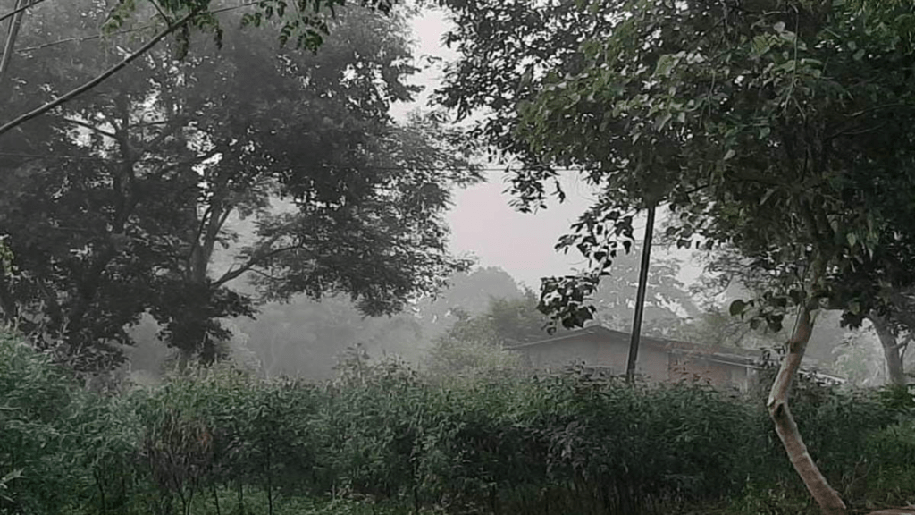 Weather Update