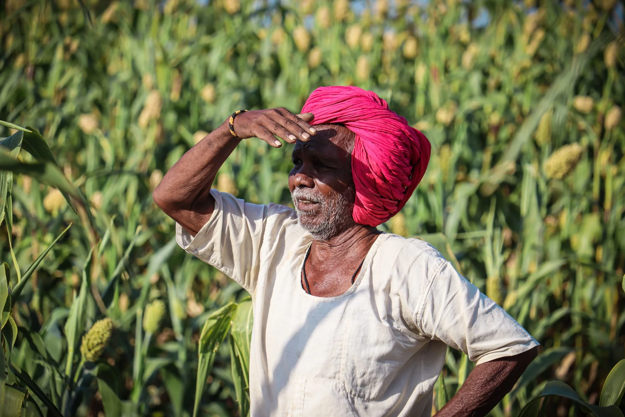 Situation of Farmers: