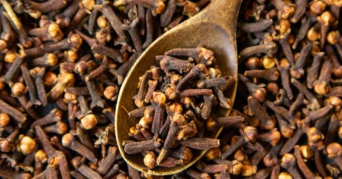 Cloves Benefits
