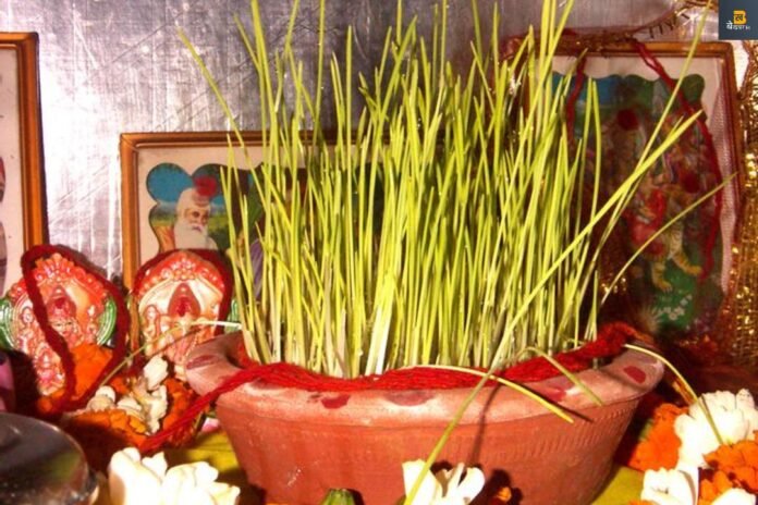 Navratri 2023: नवरात्रि में क्यों बोये जाते हैं नोरते ? जानिए इसके पीछे का कान्सैप्ट...