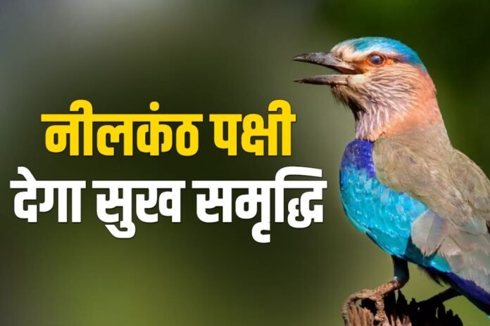 Dussehra 2023: दशहरा पर करें ये काम, होगी बरकत और कारोबार में होगी उन्नति !