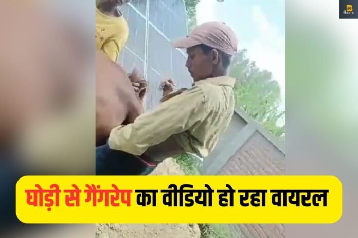 Gangrape with Female Horse: 5 युवकों ने घोड़ी से किया गैंगरेप, वीडियो वायरल