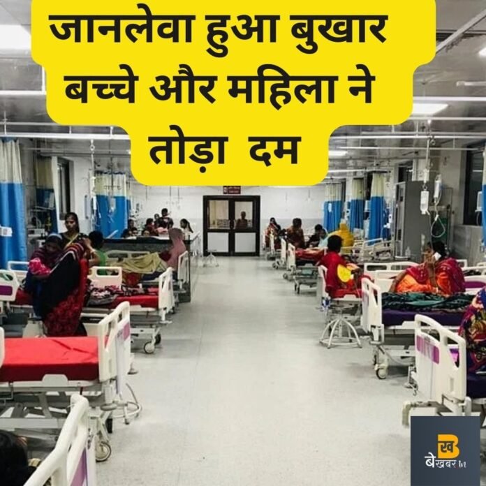 पूठ में बुखार से बच्चे की मौत, बहादुरगढ़ में भी महिला ने दम तोड़ा...