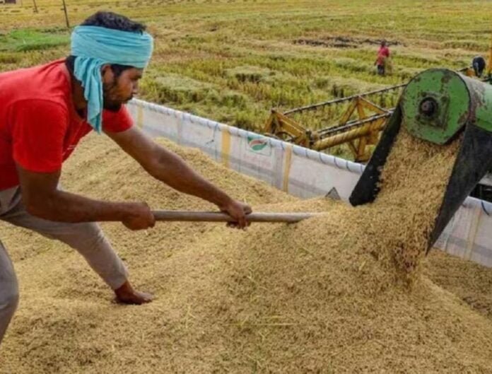 Animal Feed Business