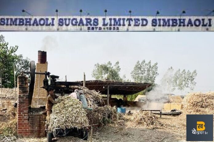 Simbholi: चीनी मिल चालू नहीं, किसान कम रेट पर ही क्रेशरों पर डाल रहे गन्ना...