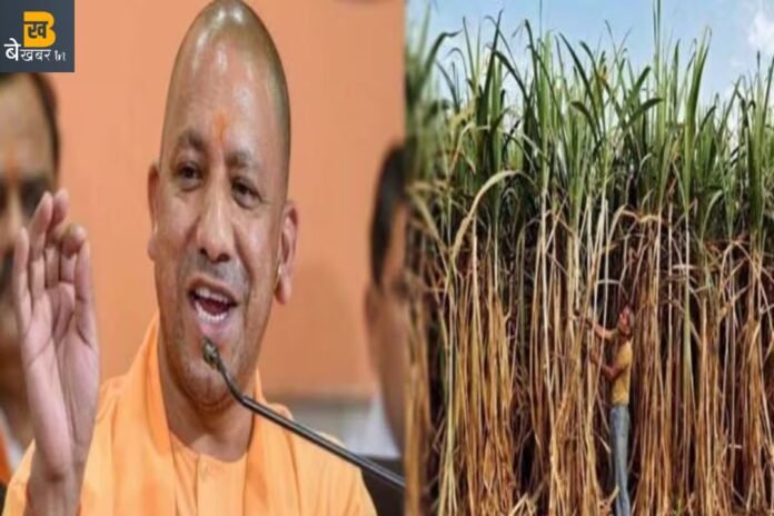 किसानों के लिए खुशखबरी: गन्ने के रेट में सरकार कर रही है इतनी बढ़ोतरी…