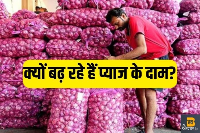 Onion Price Hike Reason: इतनी तेजी से क्यों बढ़ रही हैं प्याज की कीमतें? जानिए कब कम होंगे दाम