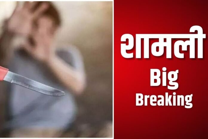 Shamli News: शामली में पुलिस वाले के बेटे ने दो युवकों को चाकू मारा, वर्दी पहने बाप खड़ा देखता रहा