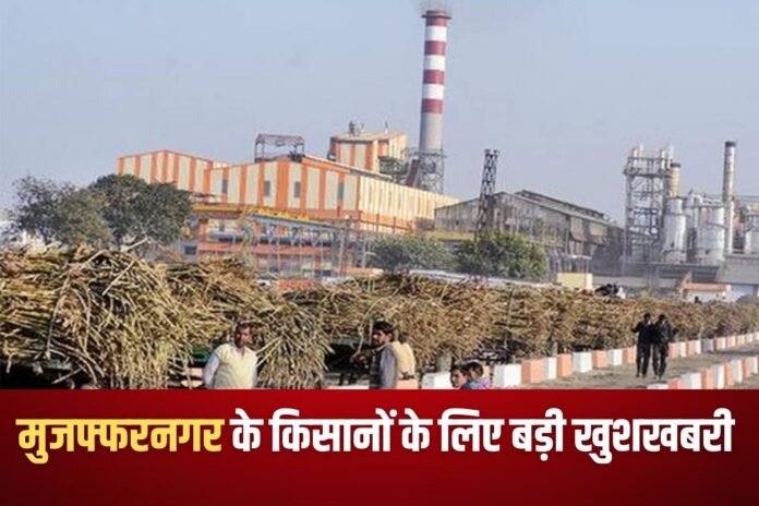 मुजफ्फरनगर किसानों के लिए खुशखबरी: शुगर मिलों ने बरसाया नोट, कर दिया भुगतान
