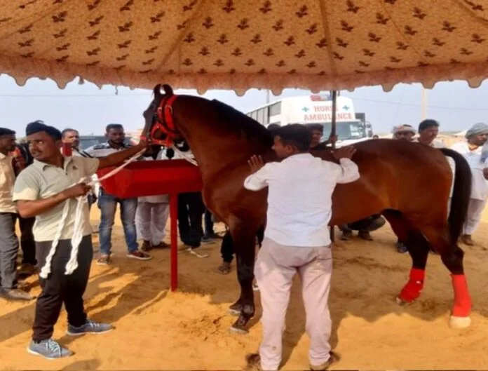 Pushkar Mela
