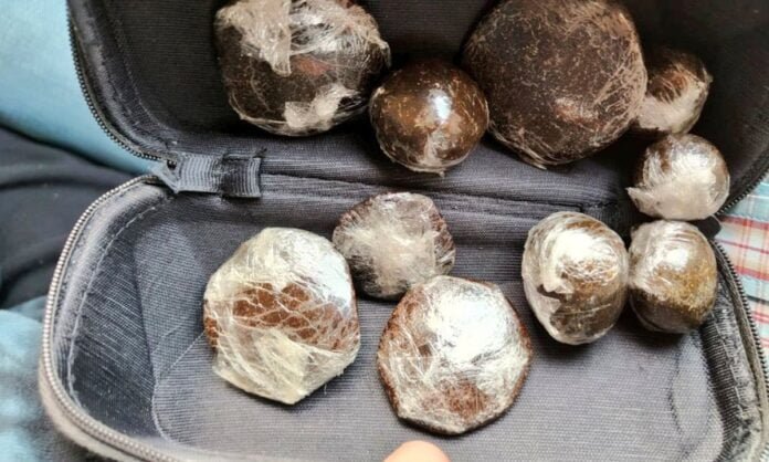 Noida Drugs News: नोएडा पुलिस ने नामचीन यूनिवर्सिटी के छात्रों से पकड़ा ड्रग्स, 8 आरोपी गिरफ्तार