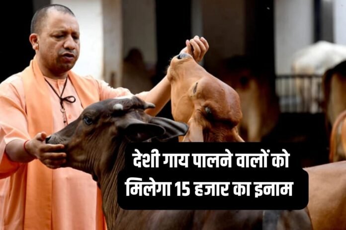 Cow Farming: देशी गाय पालने वालों को मिलेगा पुरुस्कार, मिलेंगे 10 से 15 हजार…
