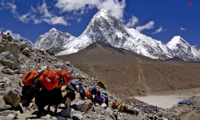 Mount Everest: आखिर कैसे हर साल बढ़ रही है माउंट एवरेस्ट की ऊंचाई? हो गया खुलासा, जानिए वजह