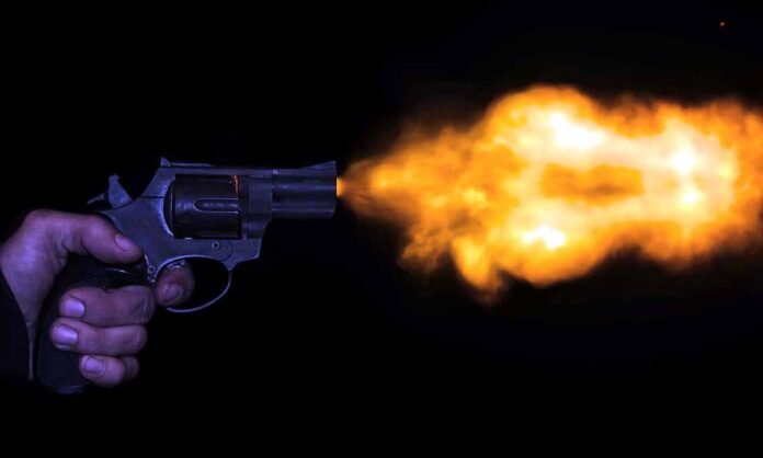 रिवॉल्वर से फायर के बाद कितनी होती है गोली की रफ्तार, क्या भागकर बच सकते हैं?
