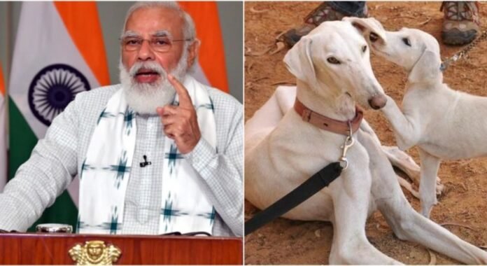 Dogs In Mann Ki Baat: भारतीय नस्ल के डॉग्स को अपनाएं, मन की बात में PM मोदी ने देशवासियों से क्या-क्या की अपील?