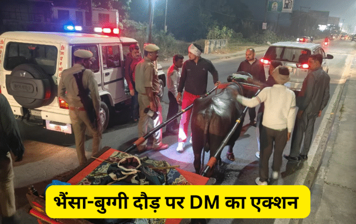 आधी रात सड़क पर उतरे Hapur DM, भैंसा-बुग्गी दौड़ पर लिया कडा एक्शन...