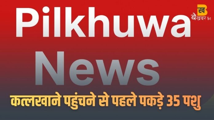 Pilkhuwa News: एक ही कैंटर में ठूंस ठूंसकर भरे 35 पशु, कत्लखाने पहुंचने से पहले छिजारसी टोल प्लाजा पर पकड़े