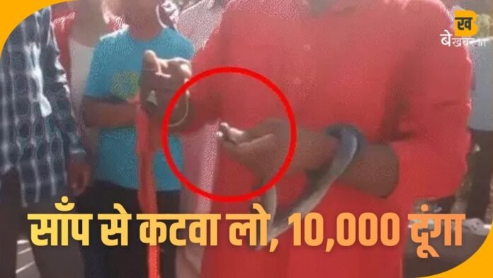 ‘साँप से कटवा लो, 10,000 दूंगा’—चैलेंज मिलते ही कोबरा के आगे बढ़ा दिया हाथ; फिर हुआ ये खौफनाक कांड!