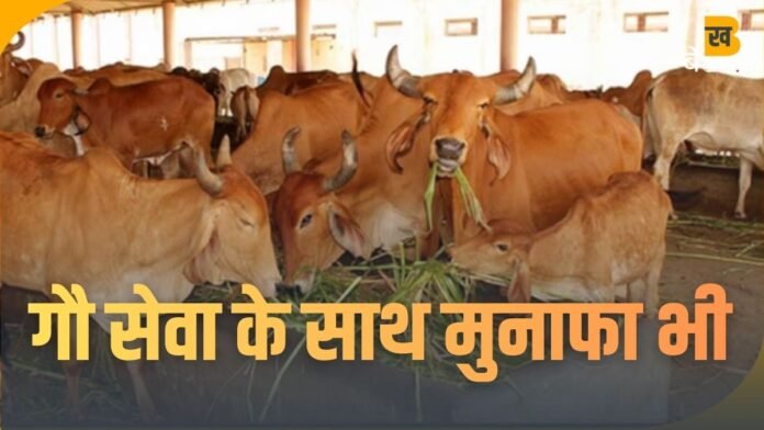 गुजरात के गांव में हाईटेक गौशाला, गायों से बना करोड़ों का मॉडल...